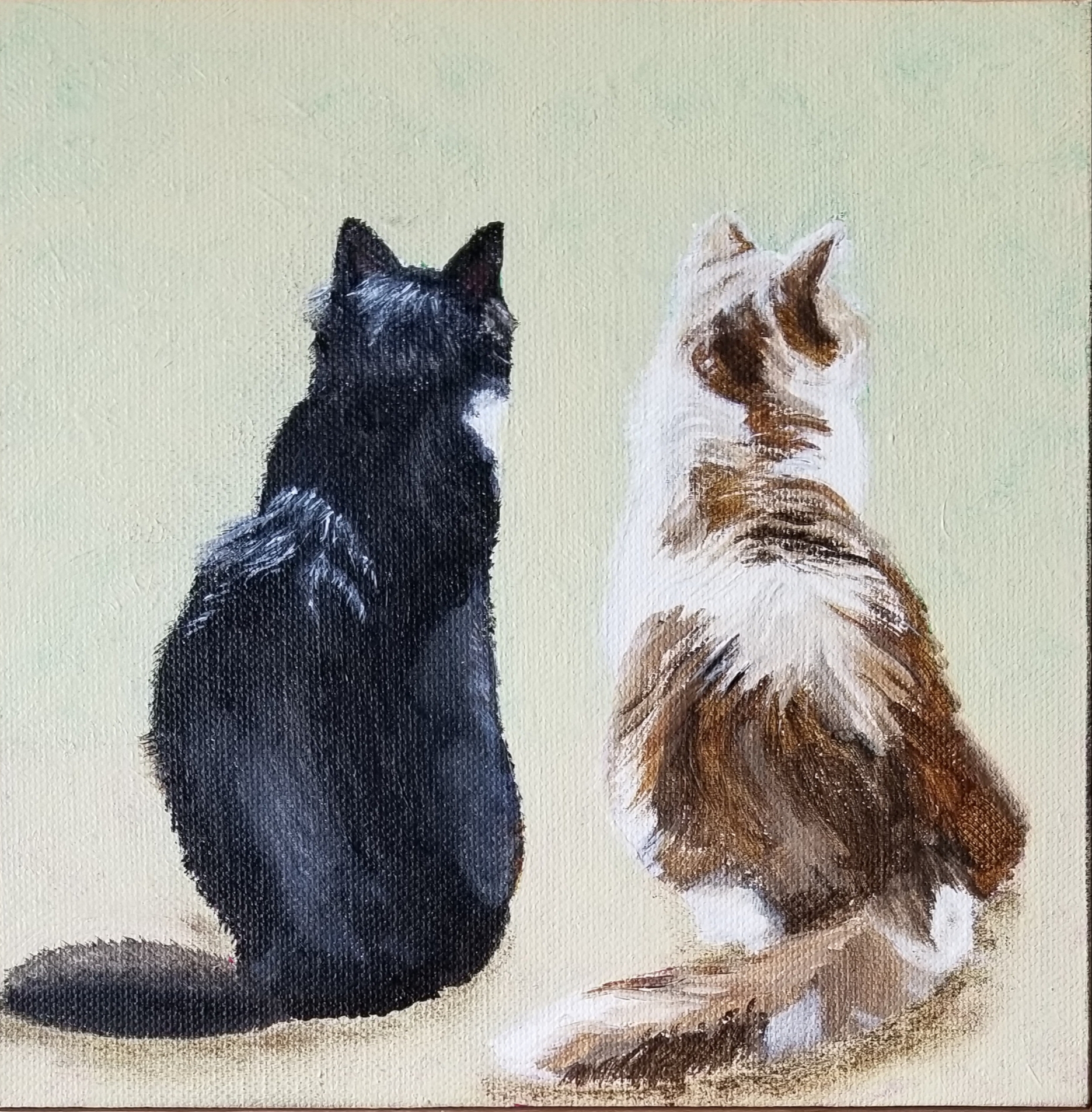 Cats watching Squirrels