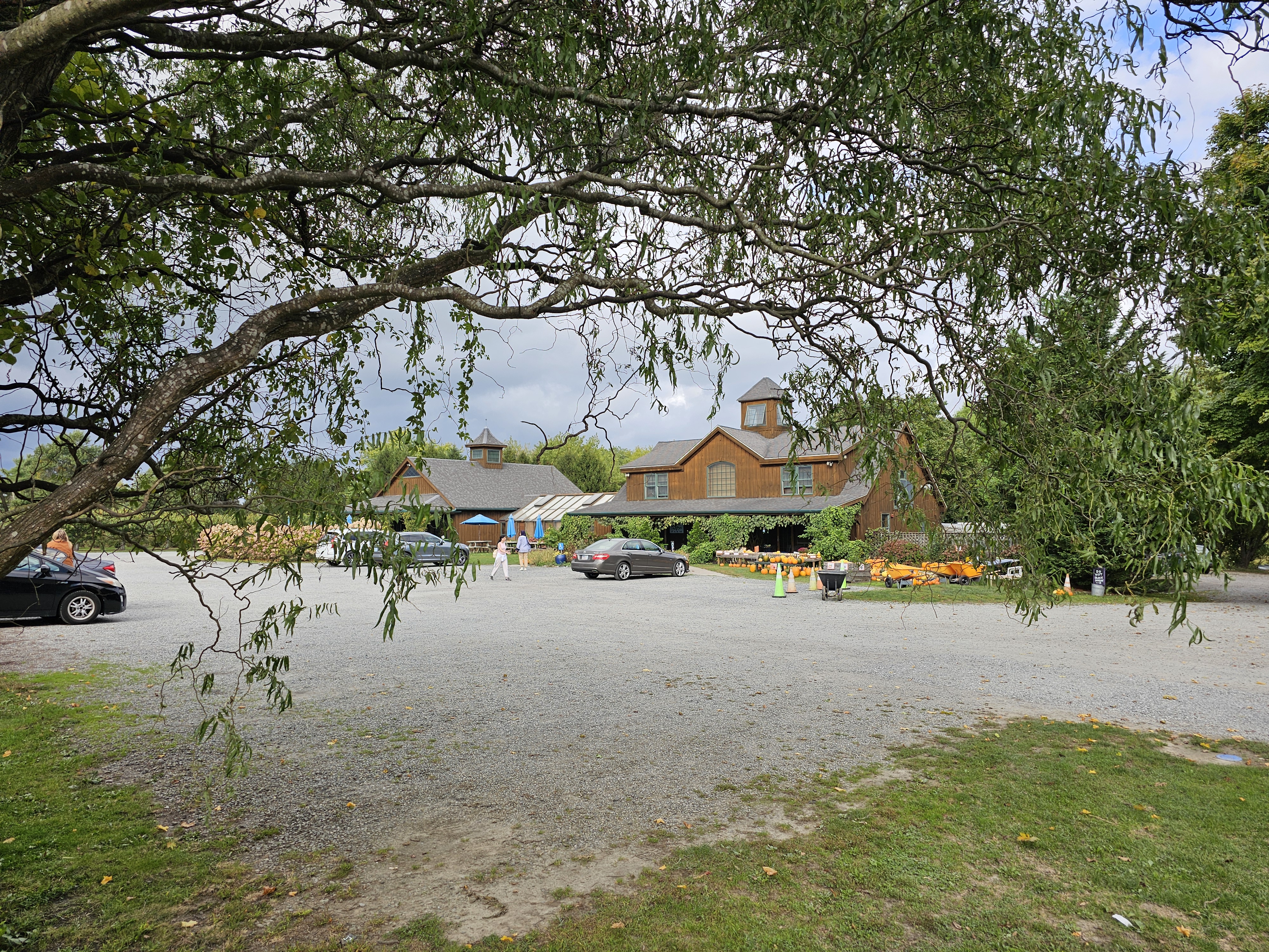 Sweetberry Farm - Original