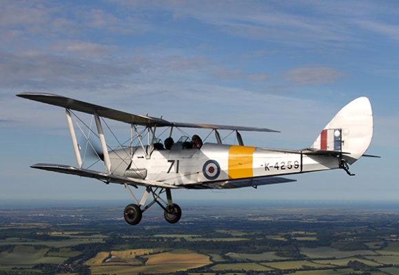 Tiger Moth