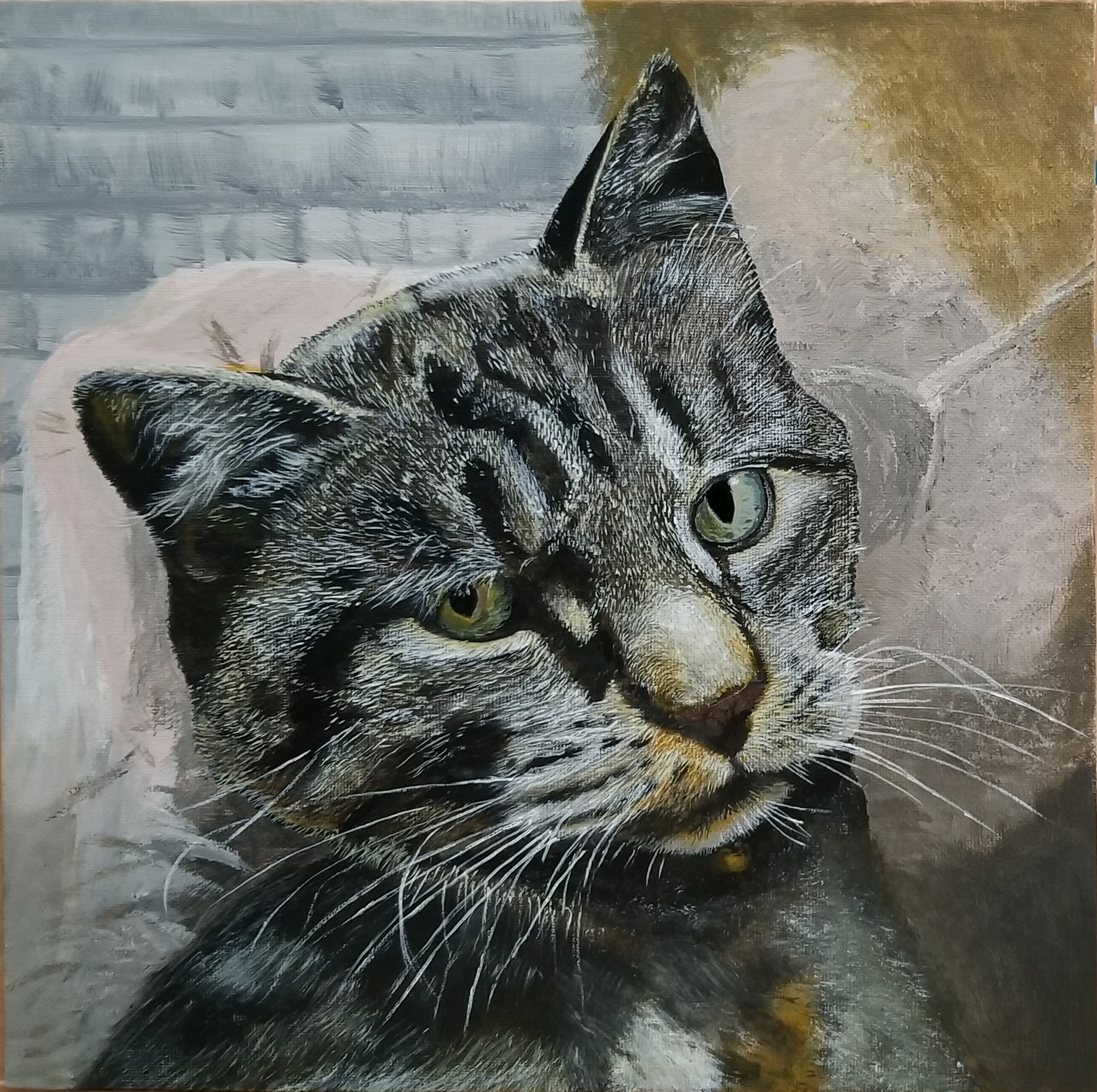 Whiskers Make the Cat