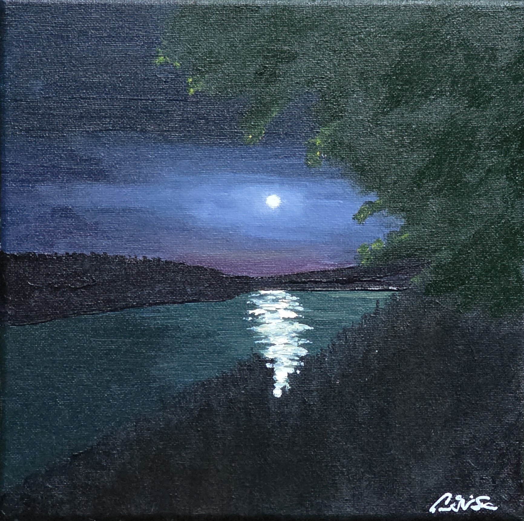 From a Photograph by Bruce Hoven