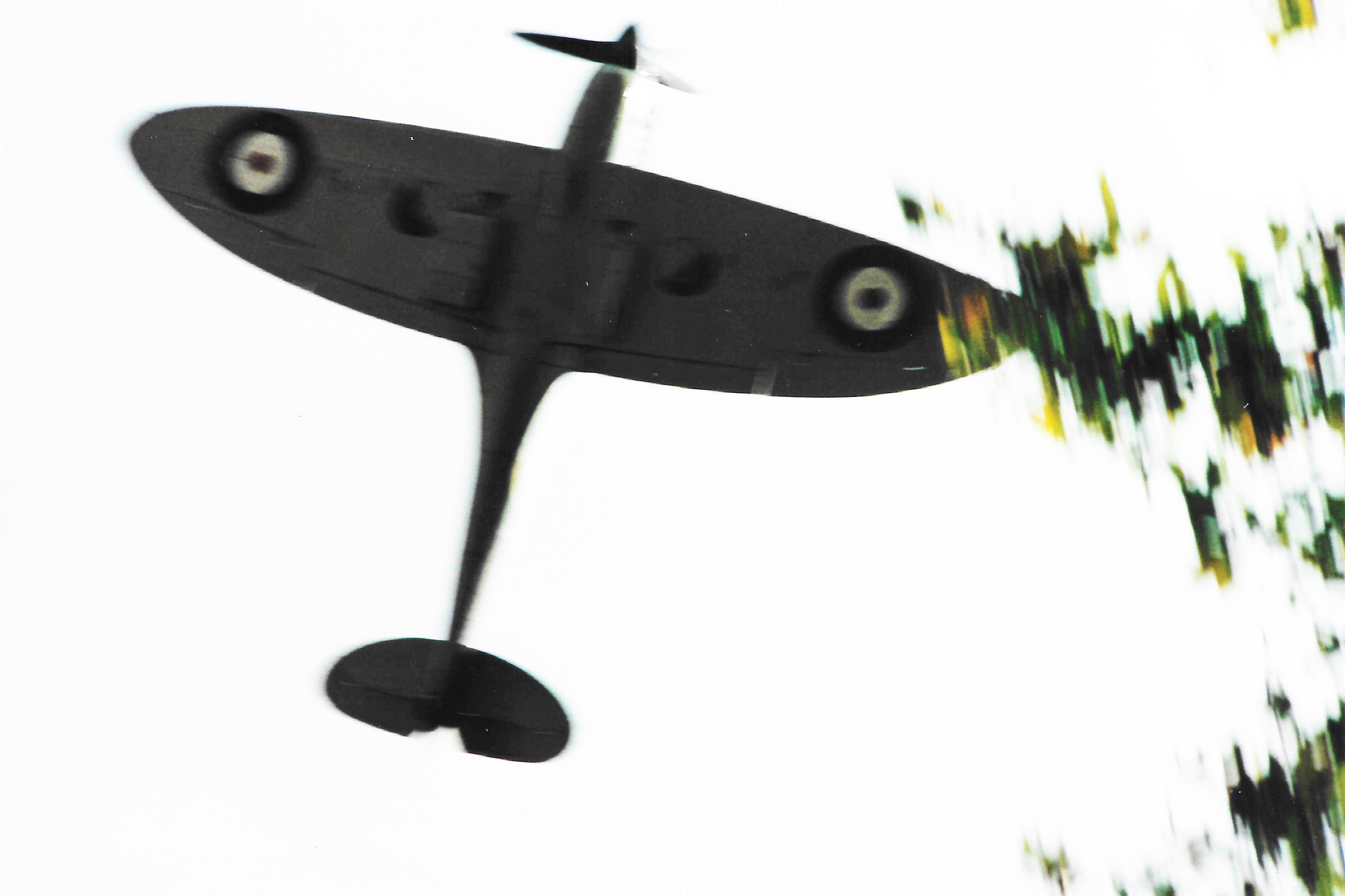 Spitfire in the tree tops