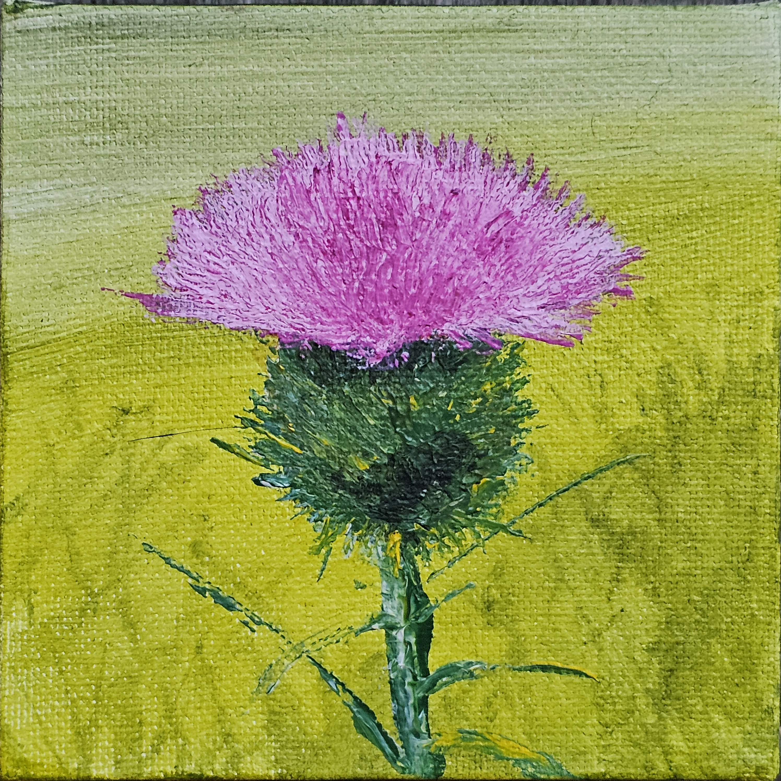 Painting of Thistle