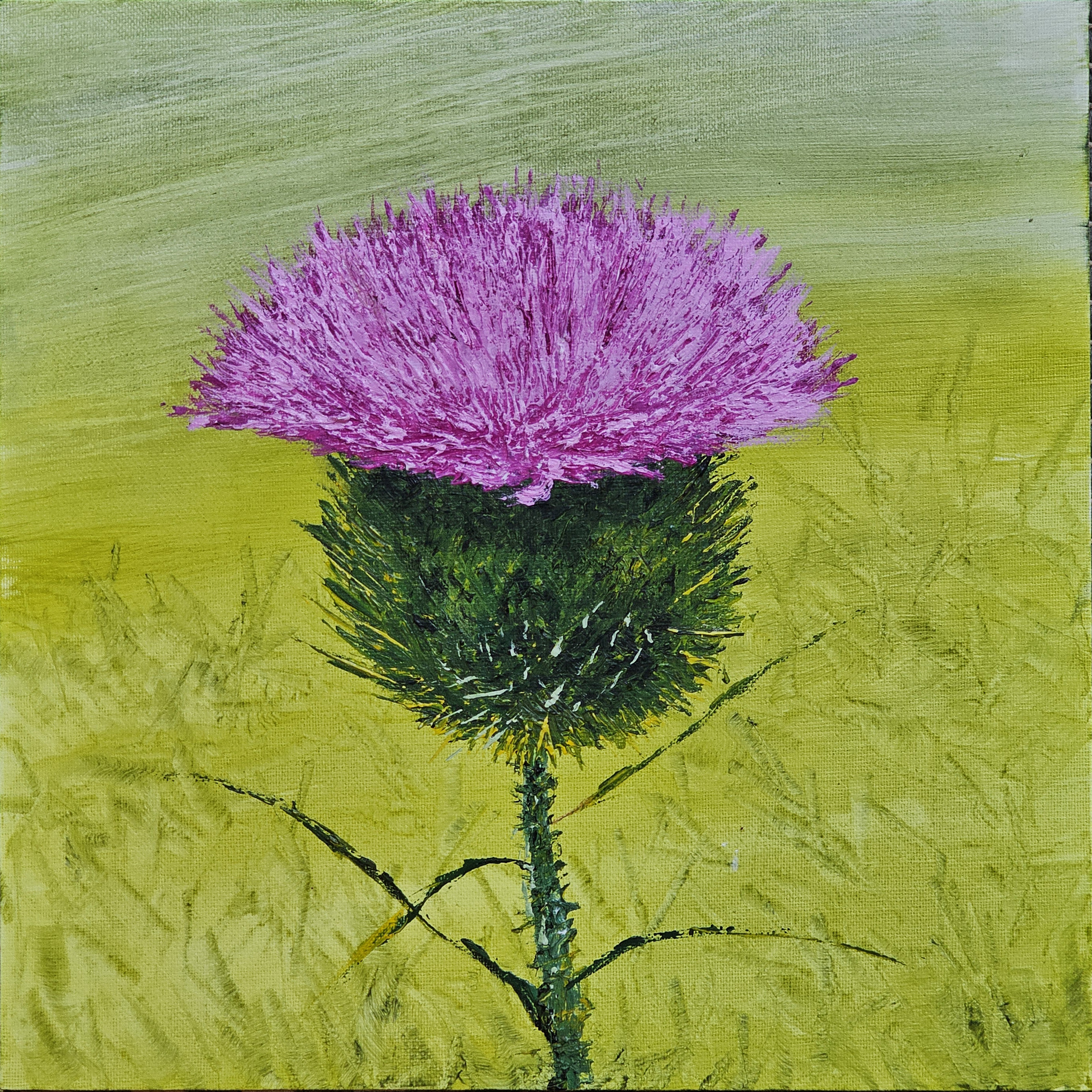 Painting of Thistle