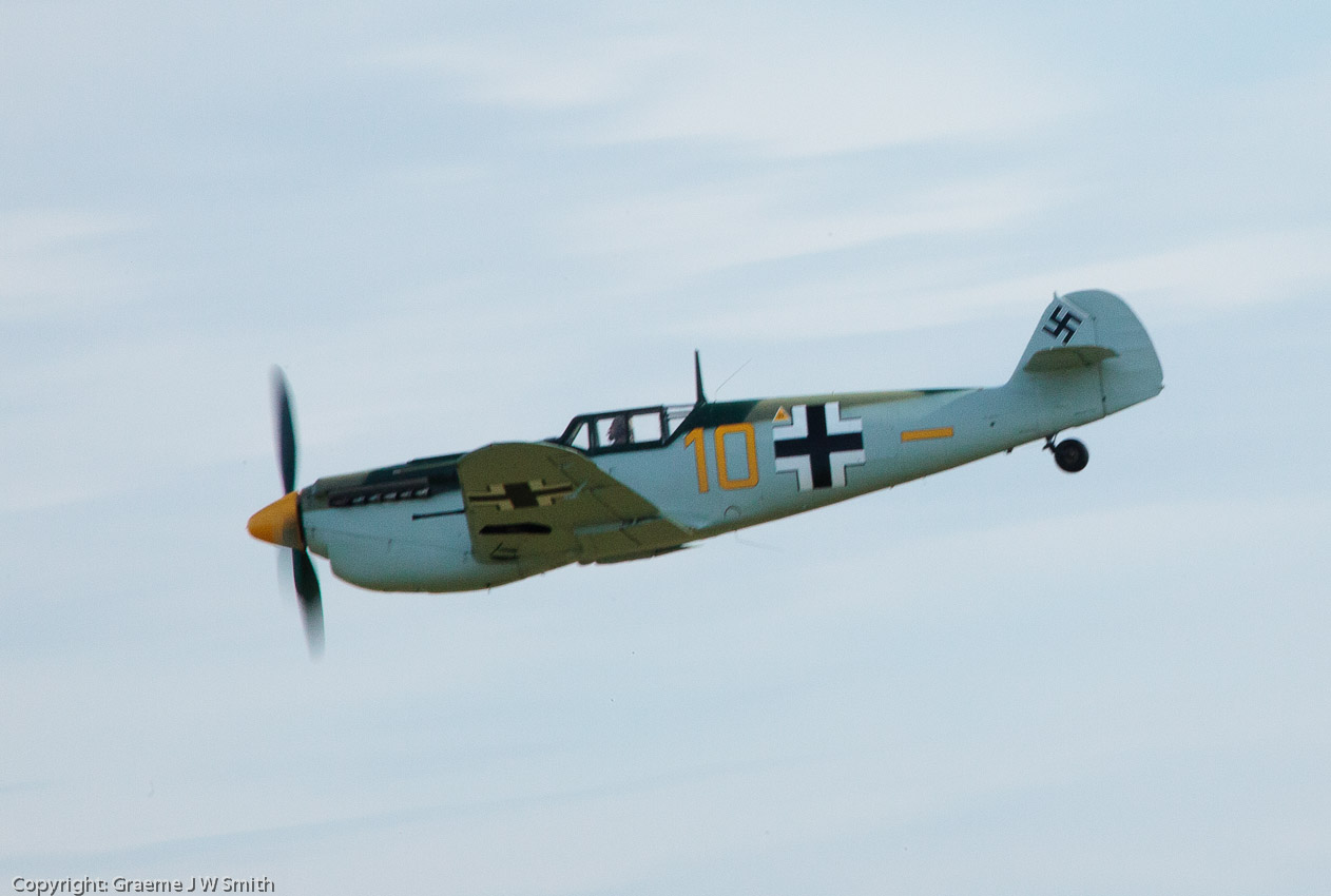 Buchon 109